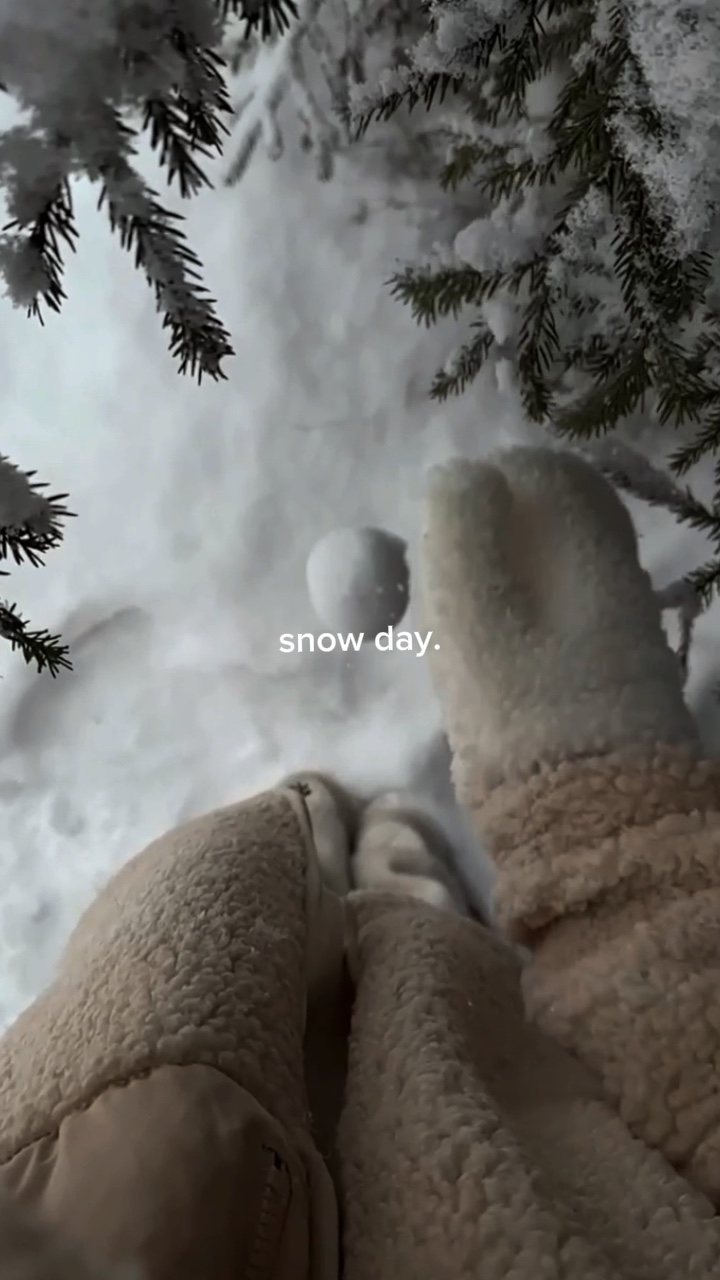Día de nieve