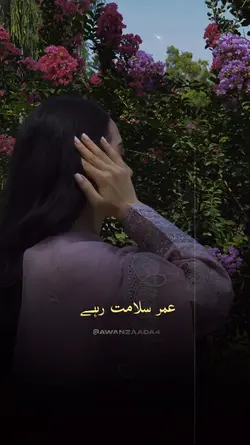 Salmaat - سلامت 