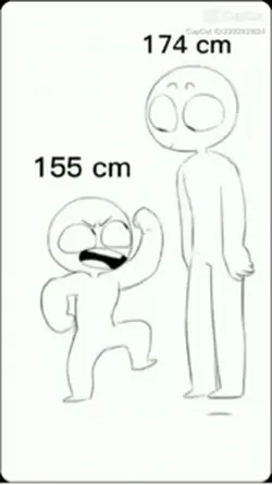 155-174 cm