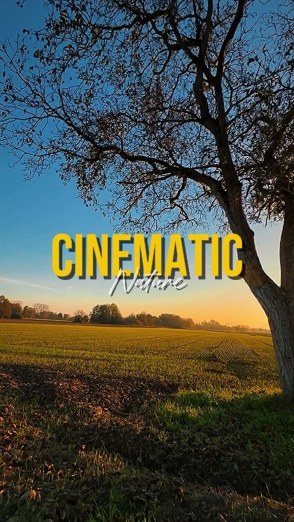 CINEMATIC NATURE