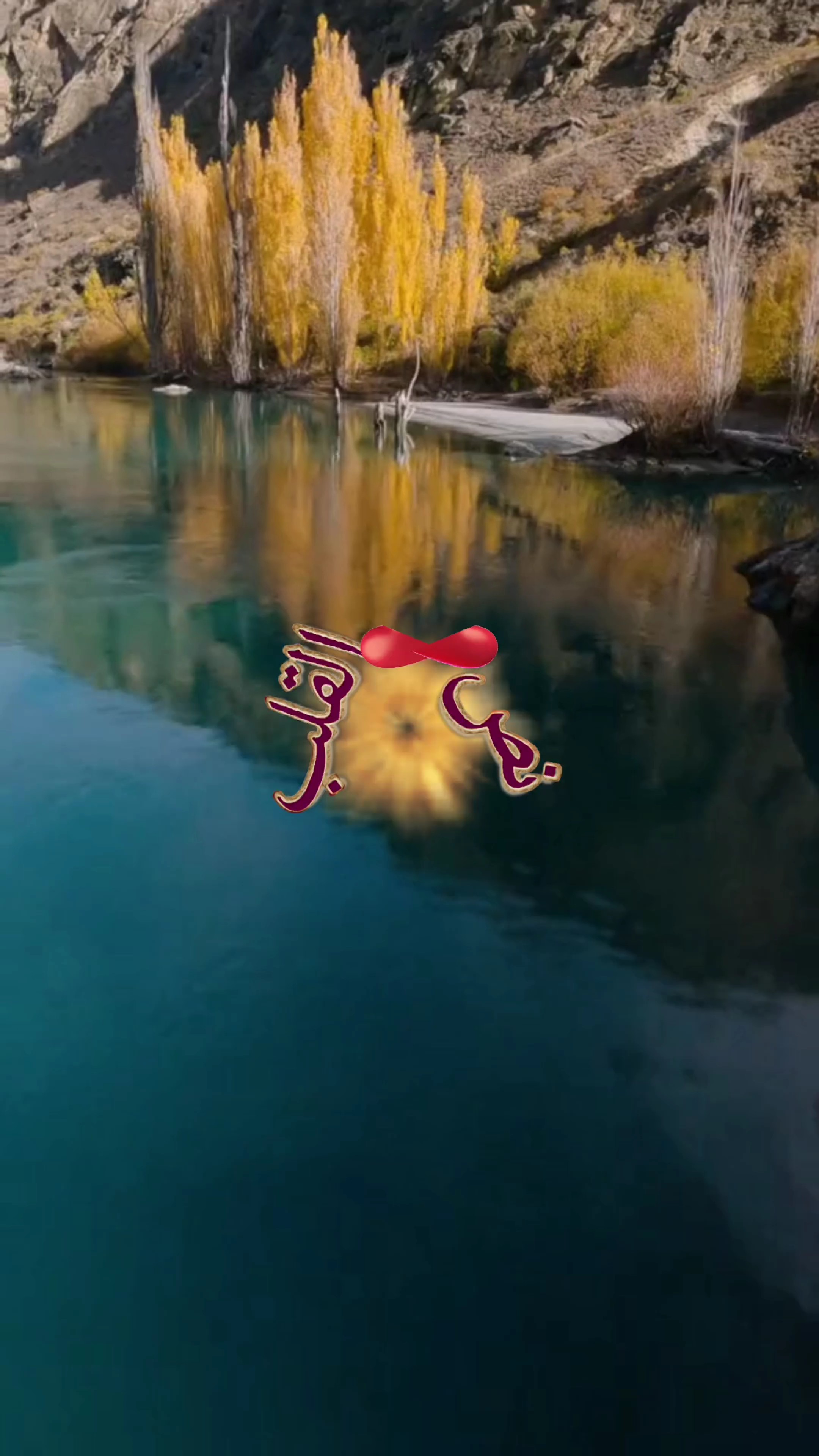 بنص القلب وتلاقي اسم