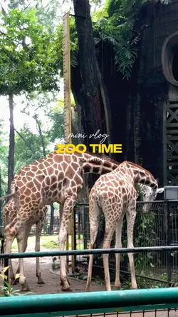zoo vlog 