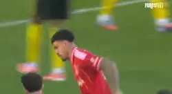 Gibbs white clips
