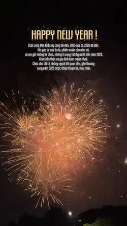 Pháo hoa năm mới 