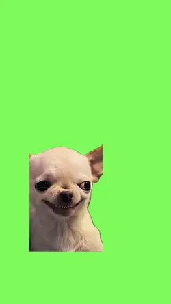 Devil dog 