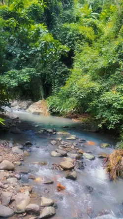 Kalikasan