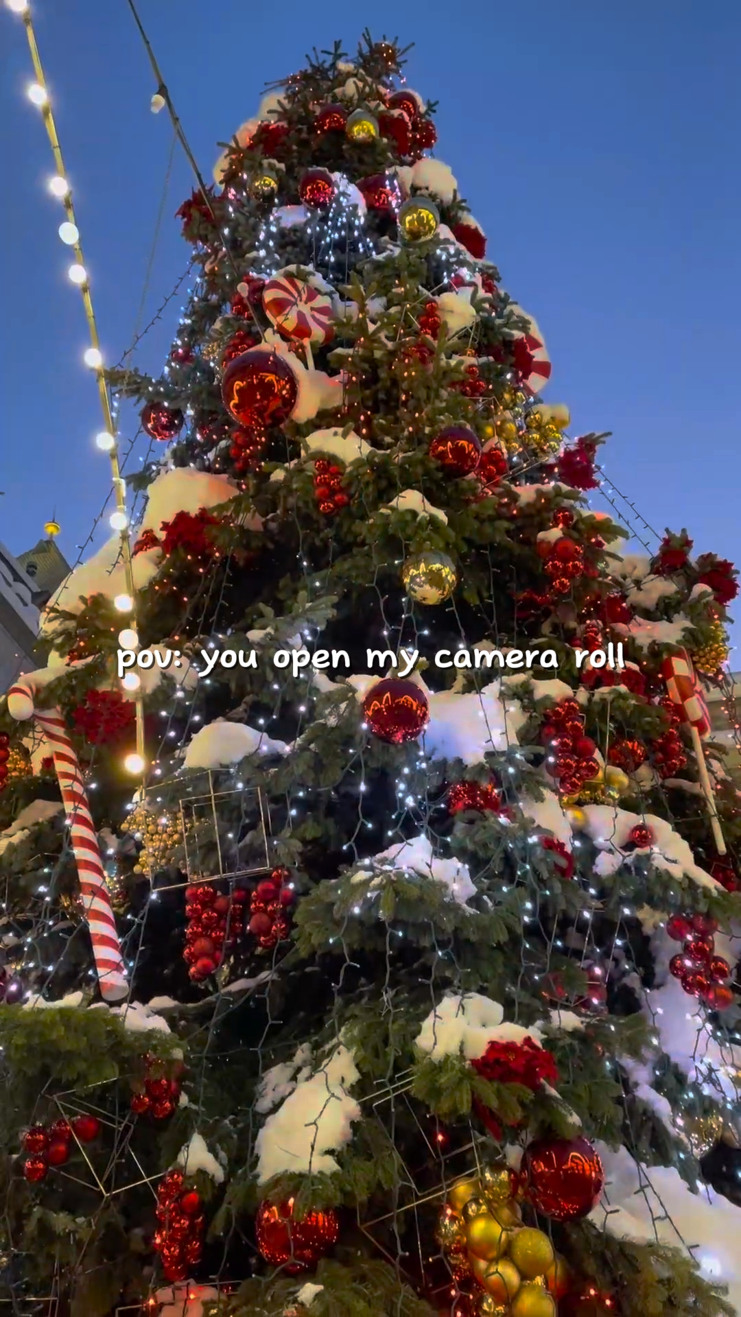 camera roll: recap