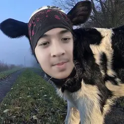 FRAME SAPI