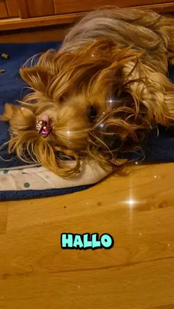 Gute Nacht