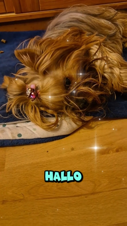 Gute Nacht 