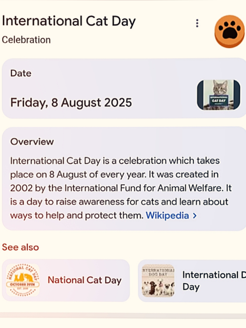 Happy Cat Day