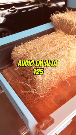 Audio em alta 125