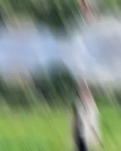 Efsane şablon kullan