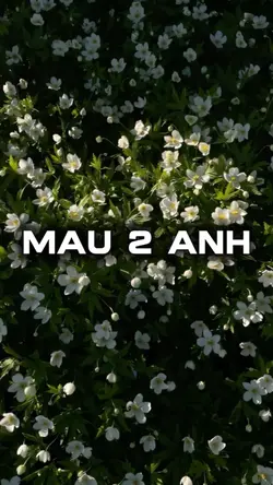 2 ảnh giật giật