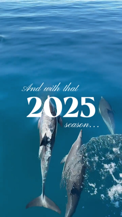 2025 recap