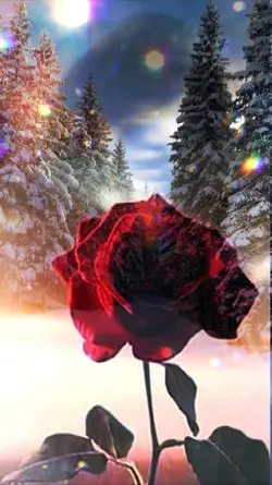 💝💝💝