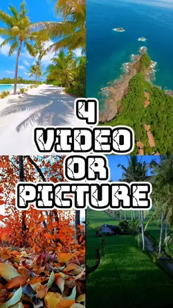 4 video new template