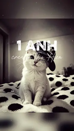 lyric+ màu