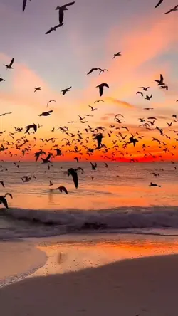 Viral şablon/slowmo