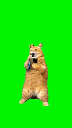 sing happy birthday
