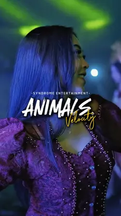 ANIMALS VELOCITY🔥