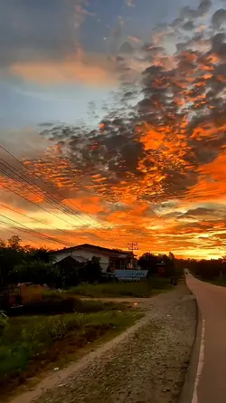 slowmo trend 