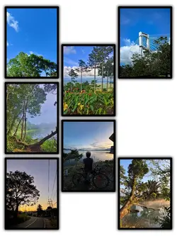 7Pic Frame Aesthetic