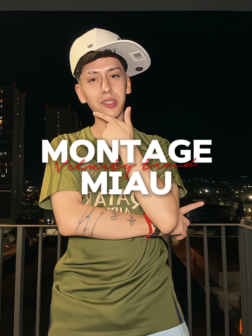 MONTAGEM MIAU