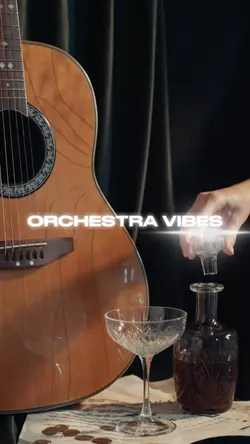 Orchestra Vibes