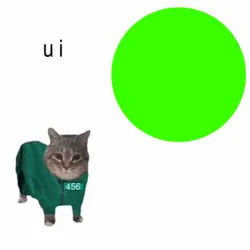 u ii aa cat meme