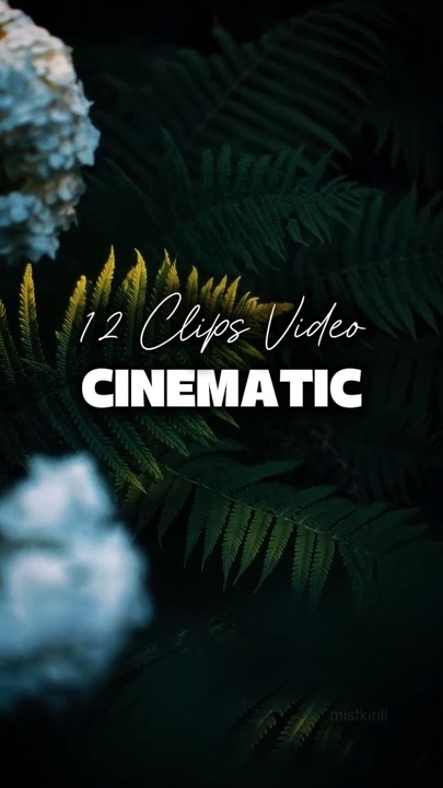 12 Videos Cinematic 