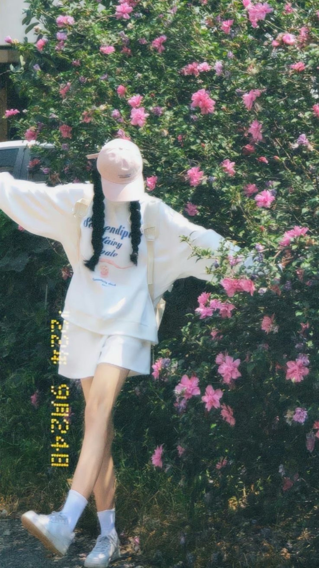 8张照片 🌷