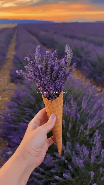 Le printemps arrive 