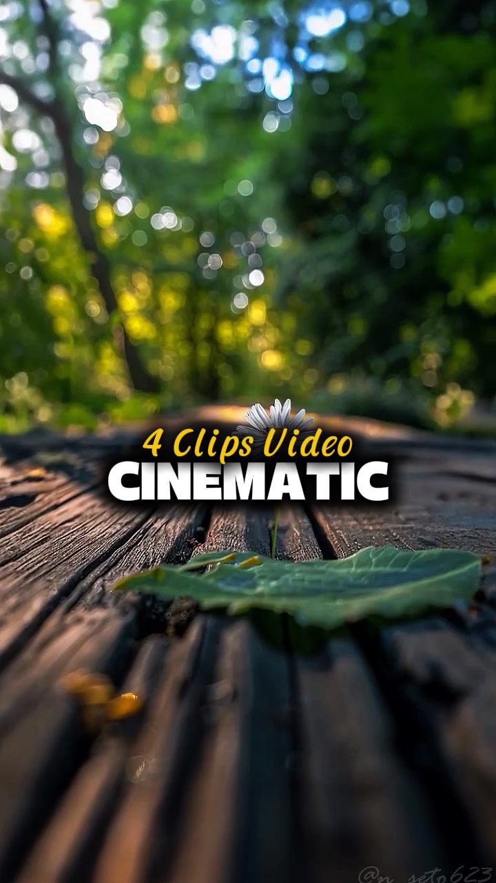 4 CLIPS VIDEO 