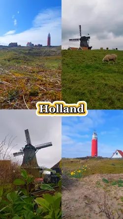 holland aesthetics