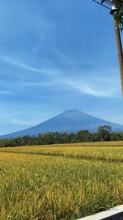 Pemandangan aestheti