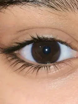 eyess
