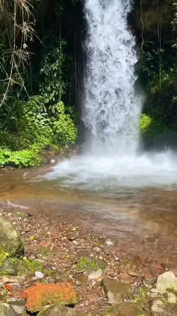 Cinematic x velocity