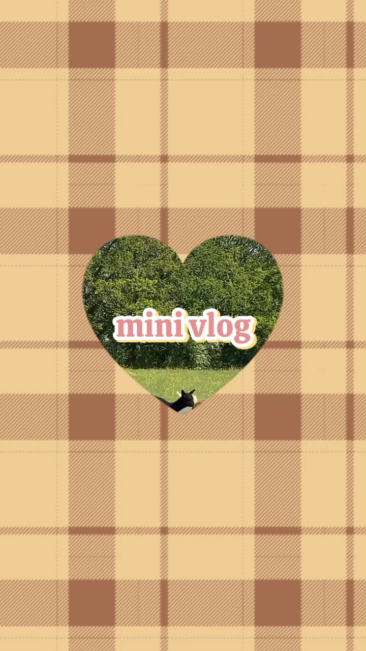 mini vlog aesthetic 