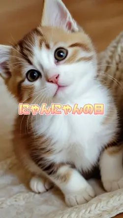 にゃんにゃんの日/猫