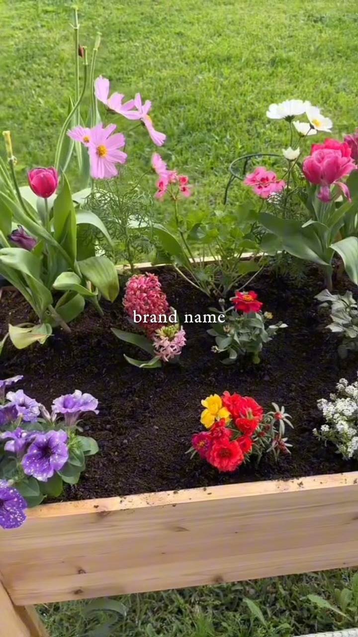 berkebun