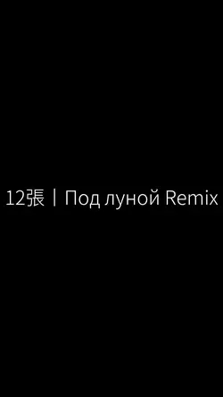 12張丨Под луной Remix
