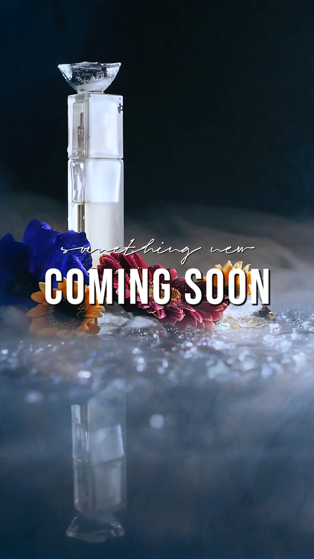 COMING SOON NEW