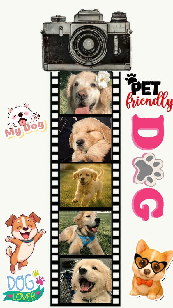 Mein Hund