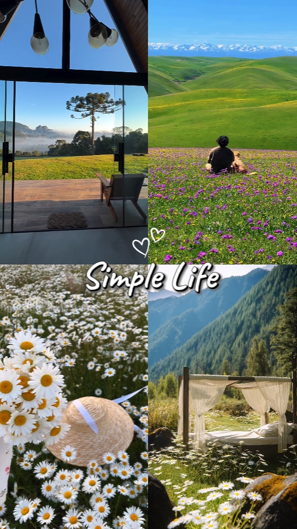 vie simple
