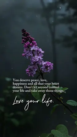 Love Your Life