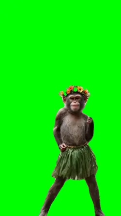 monkey dance meme