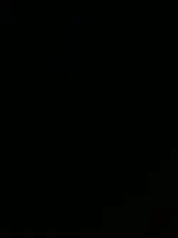 Haflingers are ugly?