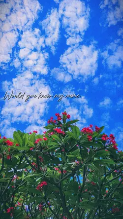 Tears in heaven 