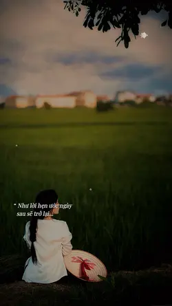 Hoa tím anh trao như